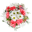 Bursting with the essence of a Harold Hill spring, this expertly arranged bouquet radiates joy and renewal, reminiscent of morning strolls past the wildflowers near Broxhill Park. Crisp white daisies-each with a glowing green heart-gather at the core, symbolising innocence and shared celebration. Coral-pink carnations give the bouquet its signature comfort and generosity, their ruffled petals catching the light with every gentle turn. Wispy gypsophila floats throughout, lending an aura as soft as early mist. Among the blooms, hints of blush-hued alstroemeria and silvered eucalyptus leaves nestle in, their subtle fragrance and elegant lines weaving tonal harmony from top to base. The entire composition rests on a pristine white background, elevating each colour and the artistry of local Harold Hill floristry. This bouquet feels equally at home as a birthday surprise, a gesture of encouragement, or a centrepiece for joyful gatherings-its tranquil exuberance echoing the happy moments that define the community. Thoughtfully composed with a blend of freshness and heartfelt intention, this arrangement invites a sense of calm celebration into any space, mirroring the timeless charm of Harold Hill itself.